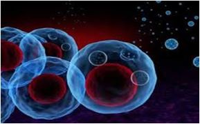 Extracellular RNA and Water Purification: Based on a Novel Scientific Discovery
